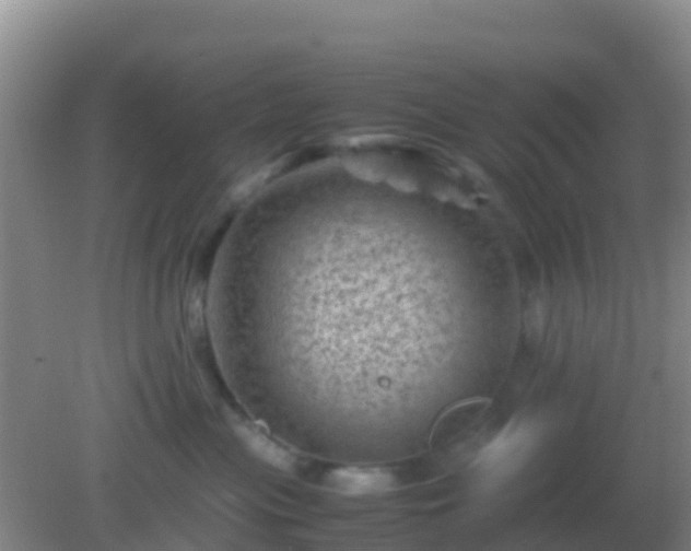 X0000082170477200701270005