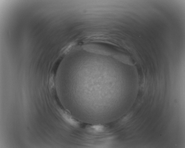 X0000082170478200701270005