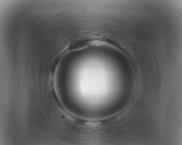 X0000082170480200701270005