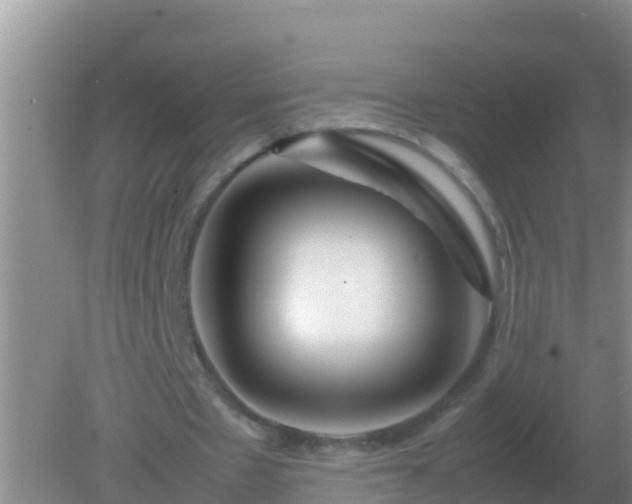 X0000082170481200701270004