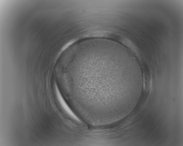 X0000082170483200701270004