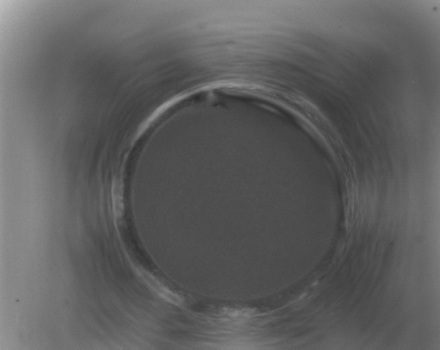 X0000082170484200701270004