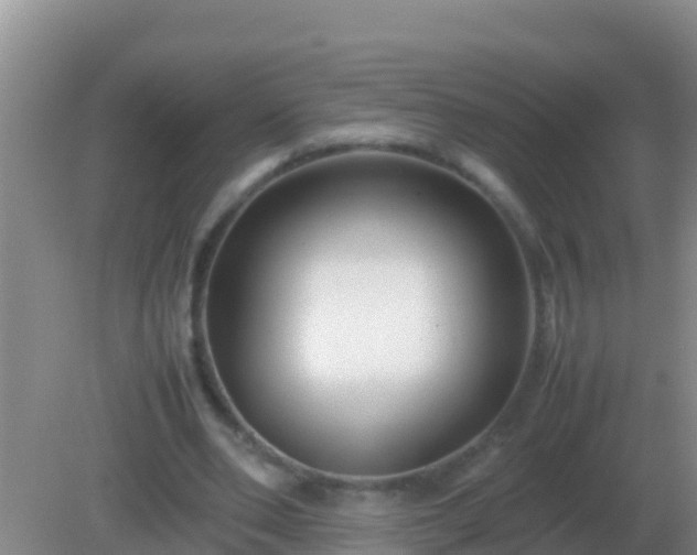 X0000082170486200701270004