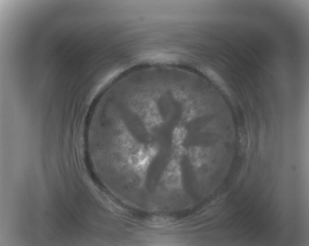 X0000082170487200701270004