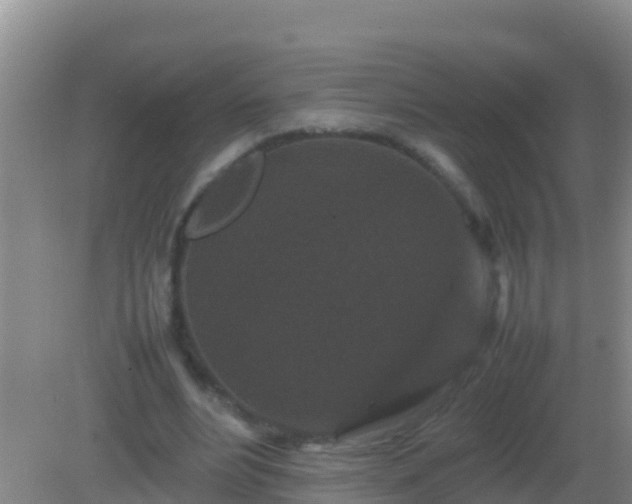 X0000082170488200701270004