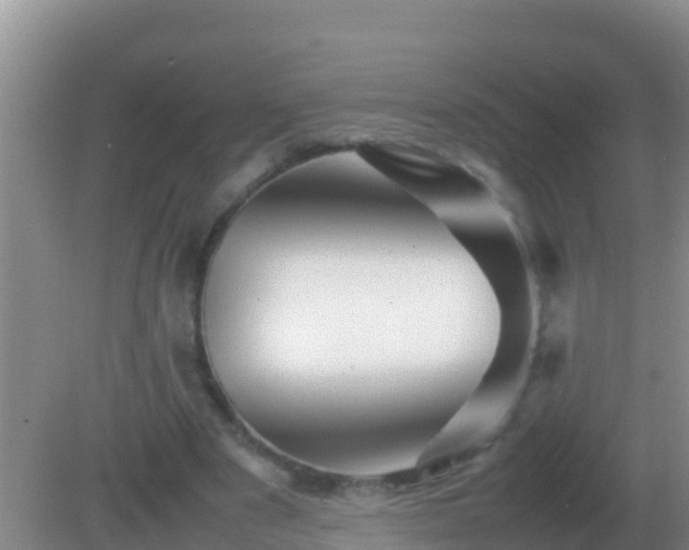 X0000082170489200701270004