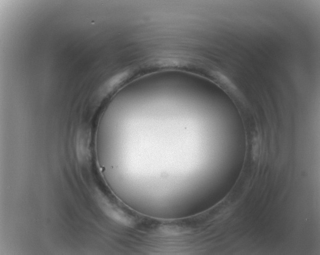 X0000082170490200701270004