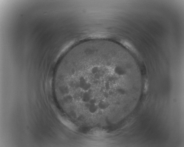 X0000082170491200701270004