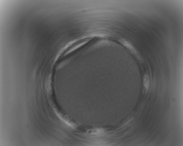 X0000082170492200701270004