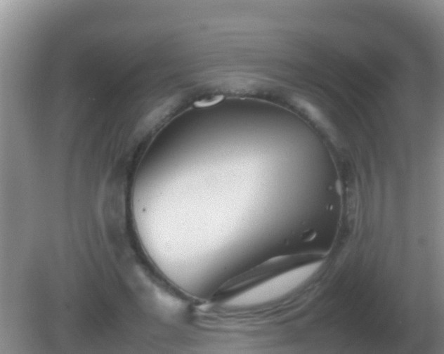 X0000082170493200701270004