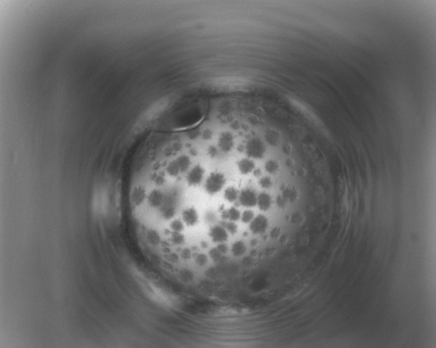 X0000082170494200701270004