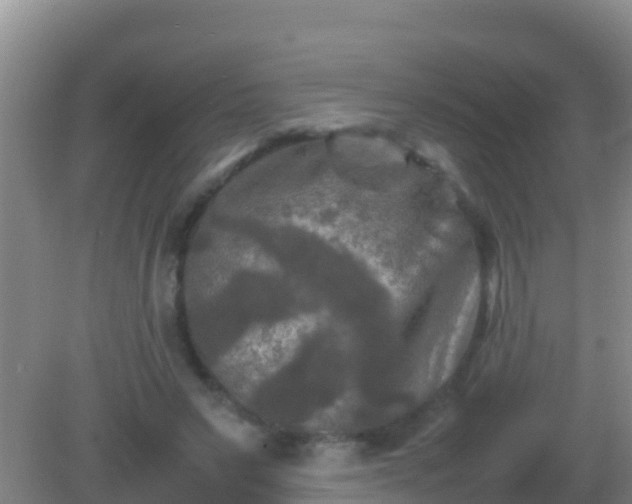 X0000082170495200701270004