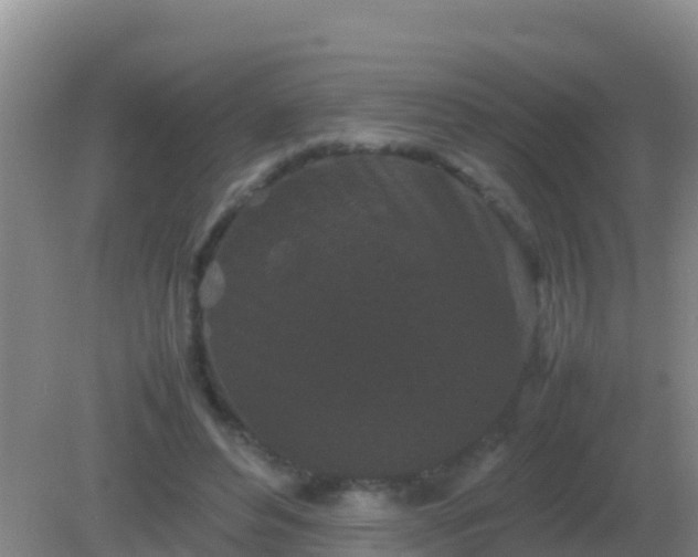 X0000082170496200701270004