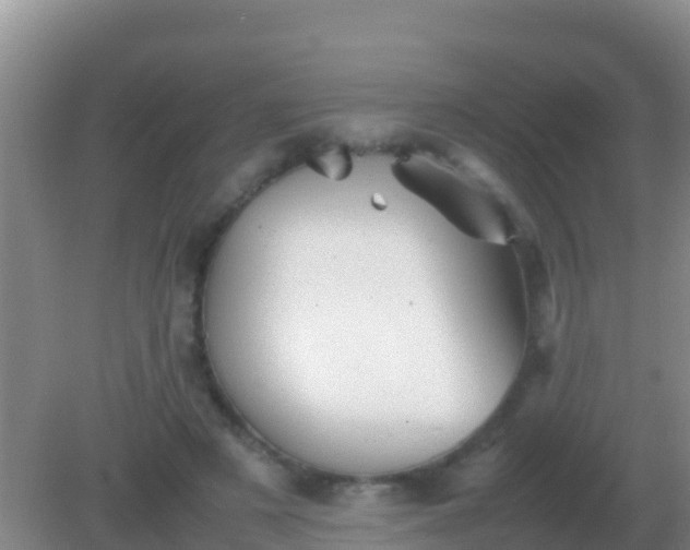 X0000082170497200701270004