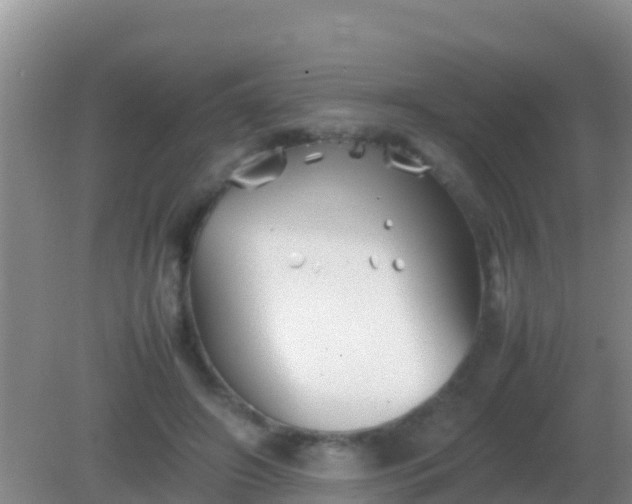 X0000082170498200701270004