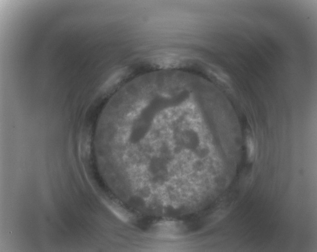 X0000082170499200701270004