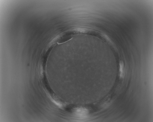 X0000082170500200701270004