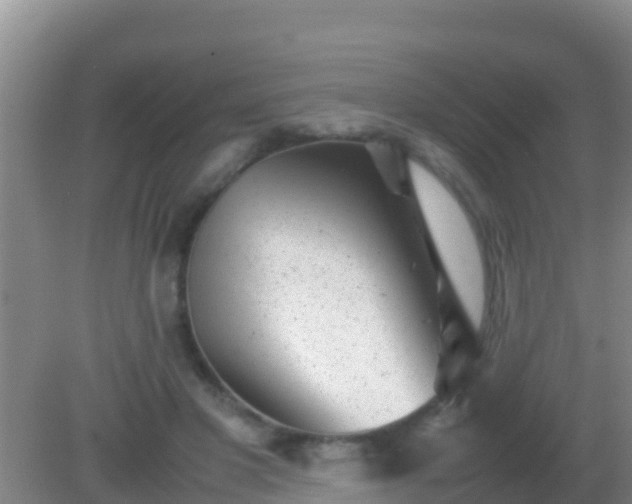 X0000082170501200701270004