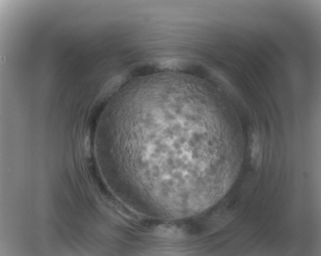 X0000082170502200701270003