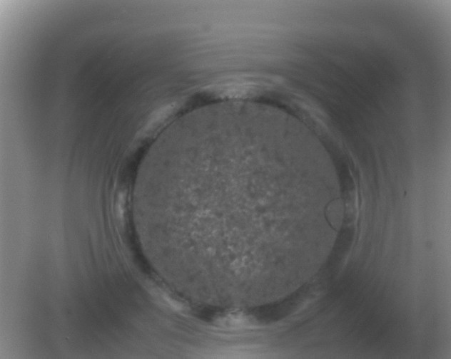 X0000082170503200701270003