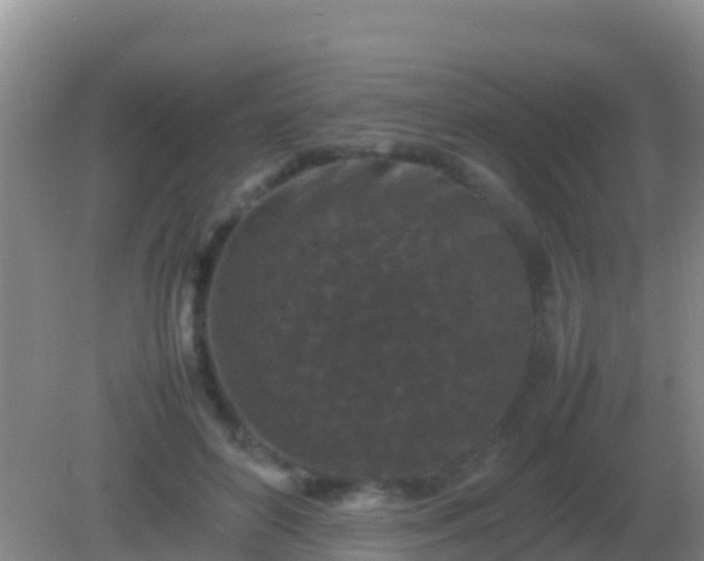 X0000082170504200701270003