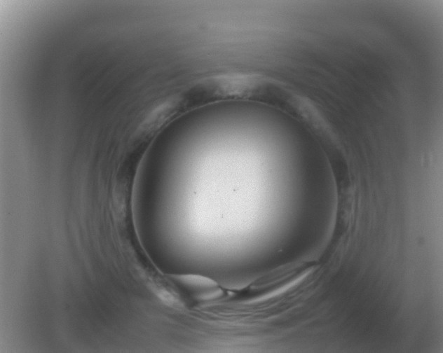 X0000082170505200701270003