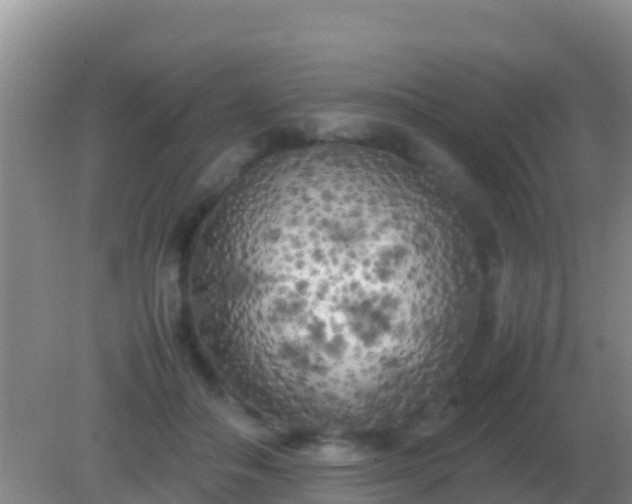 X0000082170506200701270003