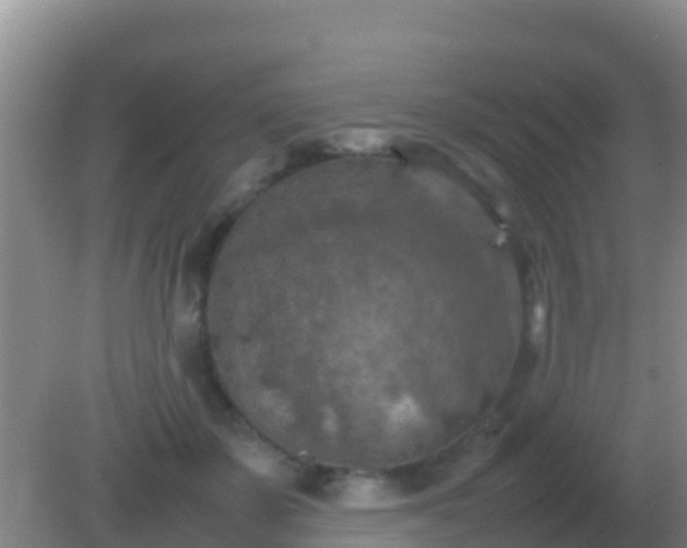 X0000082170507200701270003