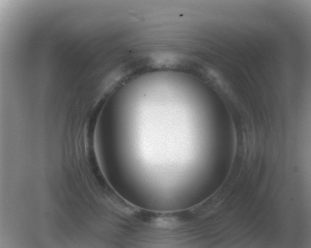 X0000082170508200701270003