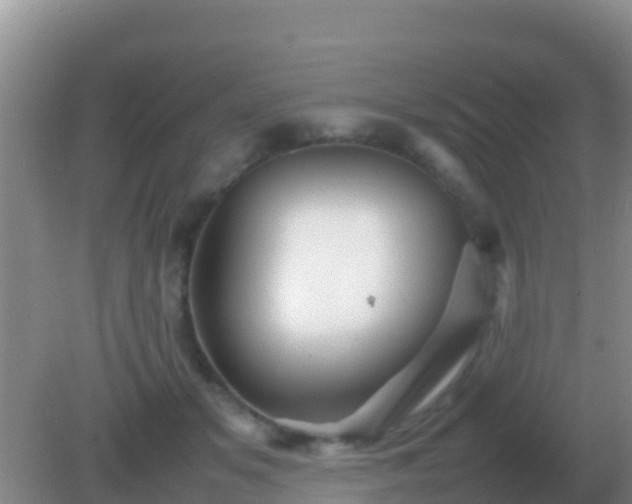 X0000082170509200701270003