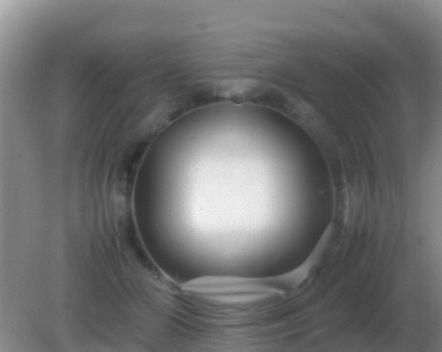 X0000082170510200701270003