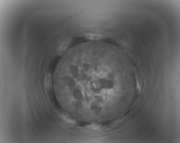 X0000082170511200701270003