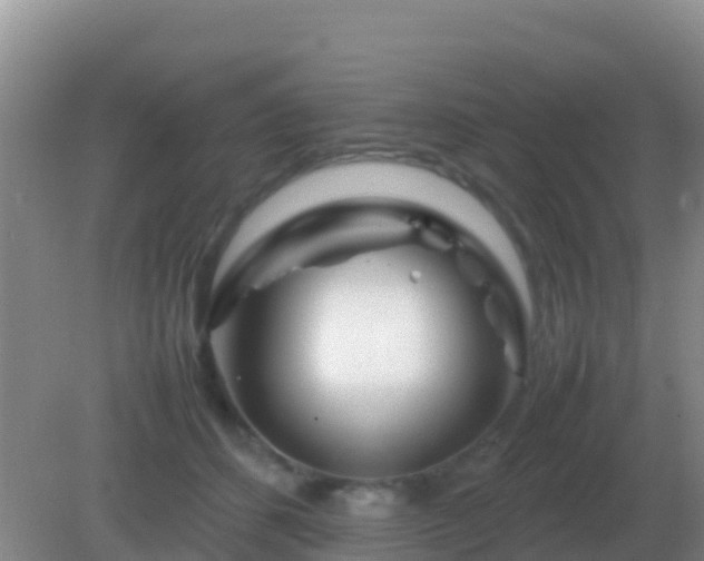 X0000082170512200701270003