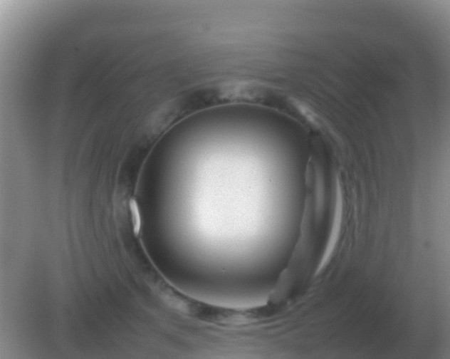 X0000082170513200701270003