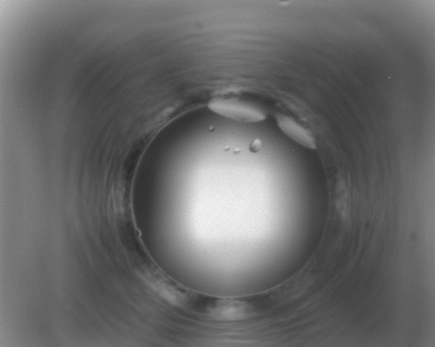 X0000082170514200701270003