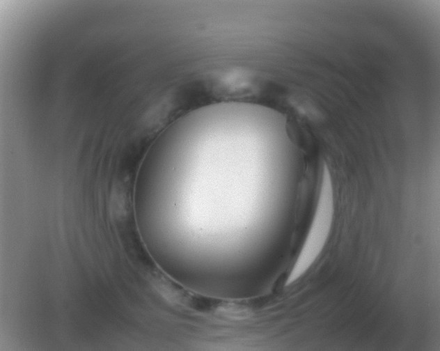 X0000082170515200701270003