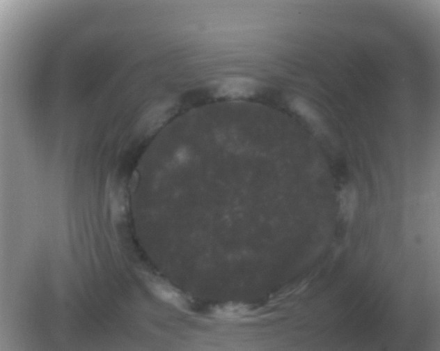 X0000082170517200701270003