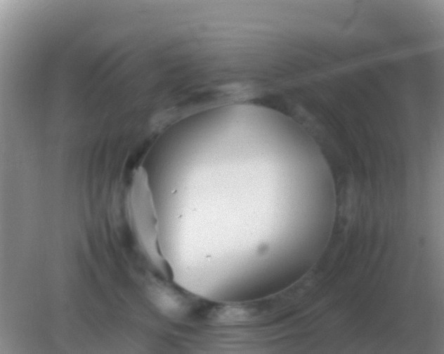 X0000082170518200701270003