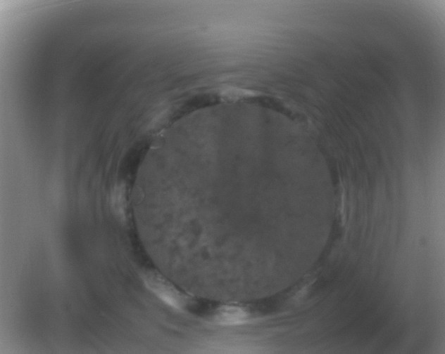 X0000082170519200701270003