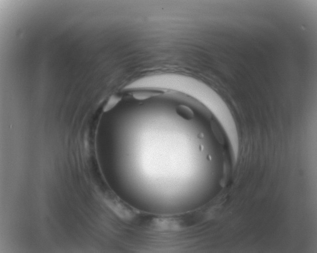 X0000082170520200701270003