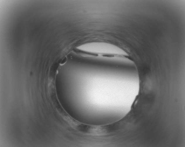 X0000082170521200701270003