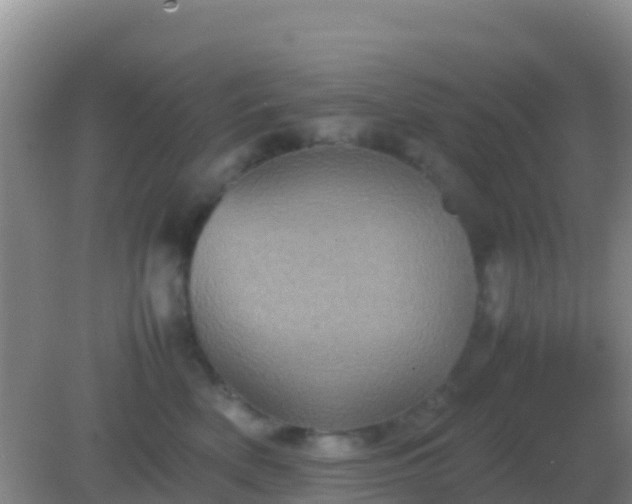 X0000082170522200701270003