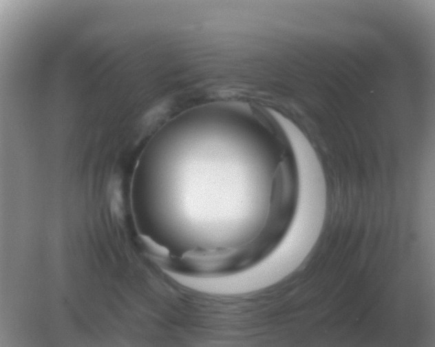 X0000082170524200701270003