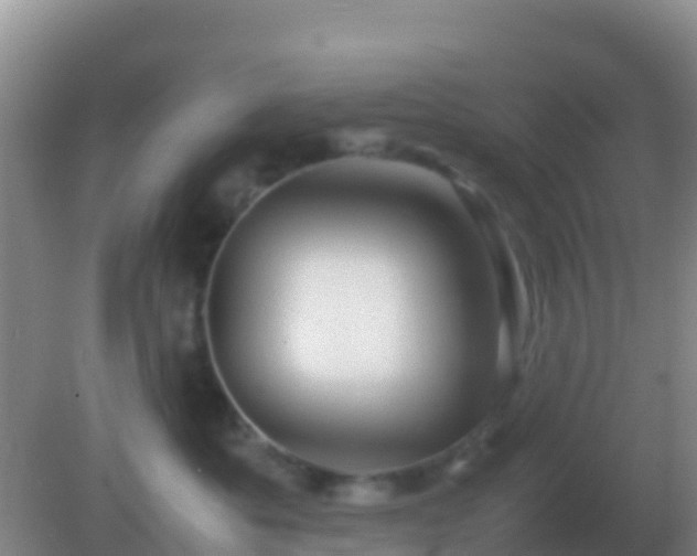 X0000082170525200701270003