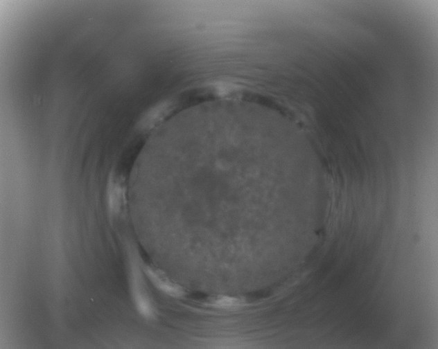 X0000082170527200701270003