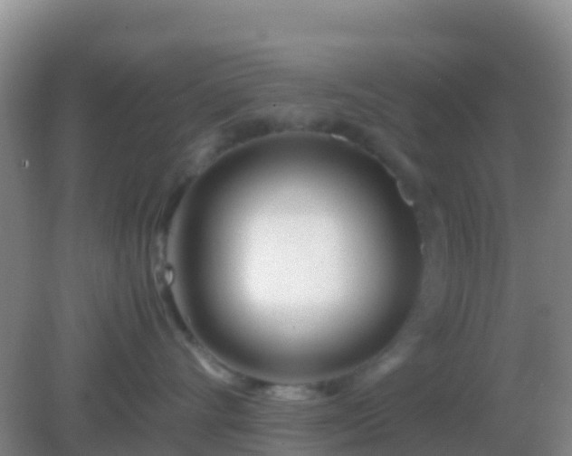 X0000082170528200701270003