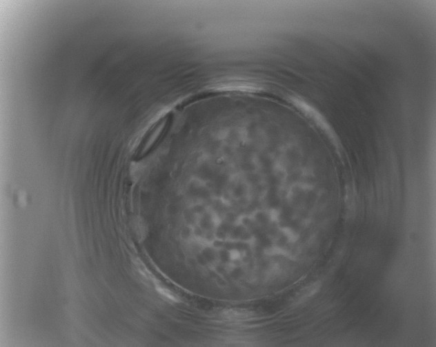 X0000082170529200701270002