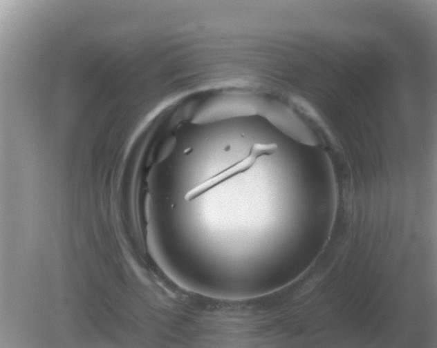 X0000082170532200701270002