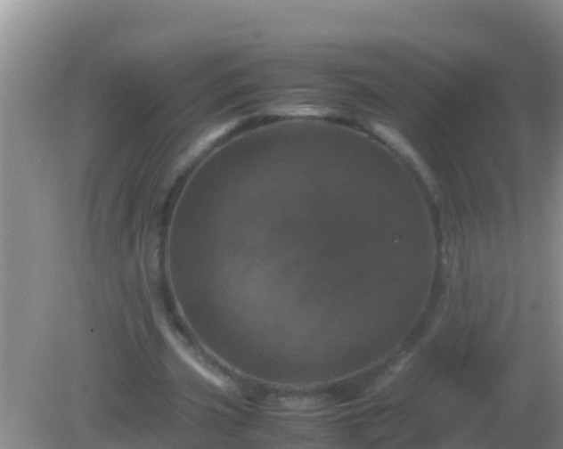 X0000082170533200701270002