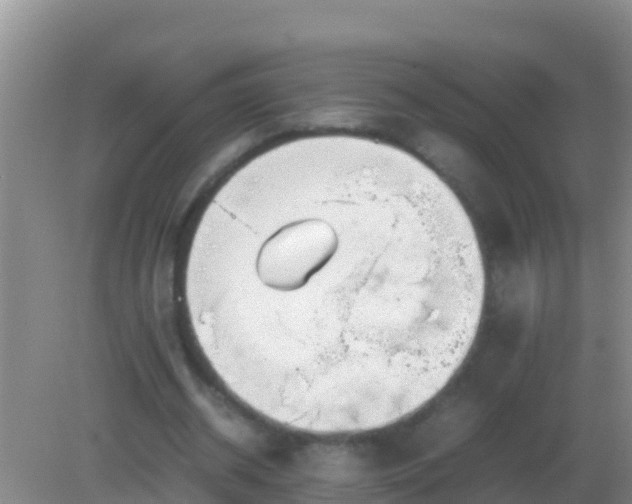 X0000082170534200701270002